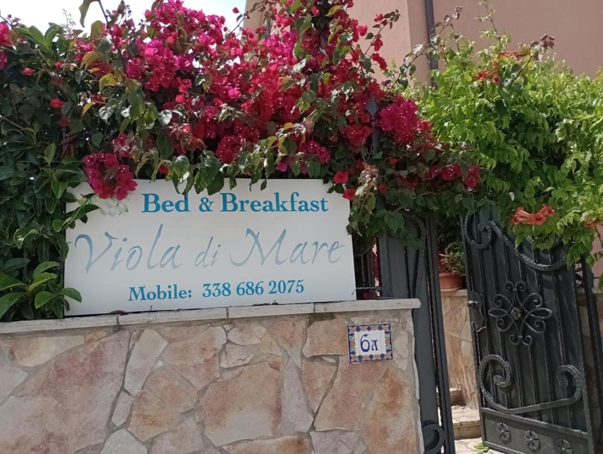 Viola Di Mare Rooms And Parking Termoli Eksteriør billede